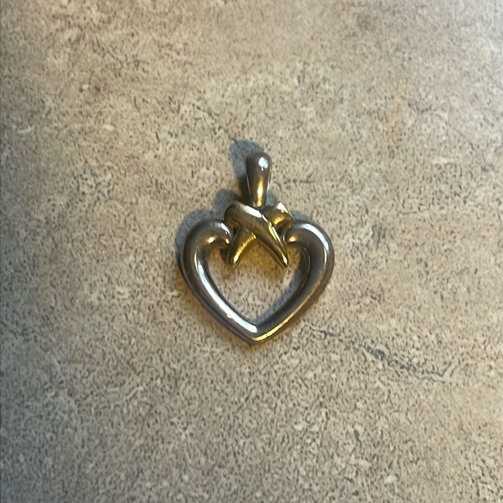 Precious Precious 925 14k Heart Pendant View 2